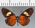  ( - CFC23305)  @11 [ ] copyright (2023) Center For Collection-Based Research Center For Collection-Based Research