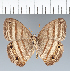  ( - CFC23412)  @11 [ ] copyright (2022) Center For Collection-Based Research Center For Collection-Based Research