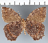  ( - CFC23470)  @11 [ ] copyright (2022) Center For Collection-Based Research Center For Collection-Based Research