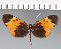  ( - CFC23552)  @11 [ ] copyright (2023) Center For Collection-Based Research Center For Collection-Based Research