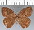  ( - CFC23575)  @11 [ ] copyright (2022) Center For Collection-Based Research Center For Collection-Based Research