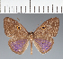  ( - CFC23610)  @11 [ ] copyright (2022) Center For Collection-Based Research Center For Collection-Based Research