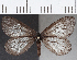  ( - CFC23654)  @11 [ ] Copyright (2019) Christer Fahraeus Center For Collection-Based Research