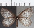  ( - CFC23656)  @11 [ ] Copyright (2019) Christer Fahraeus Center For Collection-Based Research