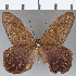  ( - CFC23750)  @11 [ ] Copyright (2019) Christer Fahraeus Center For Collection-Based Research