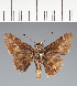  ( - CFC23832)  @11 [ ] copyright (2023) Center For Collection-Based Research Center For Collection-Based Research