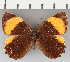  ( - CFC23853)  @11 [ ] copyright (2021) Center For Collection-Based Research Center For Collection-Based Research