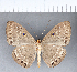  ( - CFC02388)  @11 [ ] Copyright (2018) Christer Fahraeus Center For Collection-Based Research