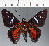  ( - CFC24061)  @11 [ ] copyright (2023) Center For Collection-Based Research Center For Collection-Based Research