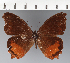  ( - CFC24165)  @11 [ ] copyright (2023) Center For Collection-Based Research Center For Collection-Based Research