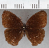  ( - CFC24202)  @11 [ ] copyright (2021) Center For Collection-Based Research Center For Collection-Based Research
