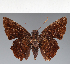  ( - CFC24396)  @11 [ ] copyright (2023) Center For Collection-Based Research Center For Collection-Based Research