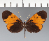  ( - CFC24664)  @11 [ ] copyright (2023) Center For Collection-Based Research Center For Collection-Based Research
