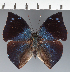  ( - CFC24793)  @11 [ ] copyright (2023) Center For Collection-Based Research Center For Collection-Based Research