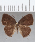  ( - CFC25125)  @11 [ ] Copyright (2020) Christer Fahraeus Center For Collection-Based Research