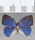  ( - CFC25131)  @11 [ ] Copyright (2020) Christer Fahraeus Center For Collection-Based Research