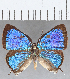  ( - CFC25134)  @11 [ ] Copyright (2020) Christer Fahraeus Center For Collection-Based Research