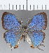  ( - CFC25159)  @11 [ ] Copyright (2020) Christer Fahraeus Center For Collection-Based Research