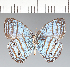  ( - CFC25251)  @11 [ ] copyright (2022) Center For Collection-Based Research Center For Collection-Based Research
