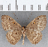  ( - CFC25255)  @11 [ ] Copyright (2019) Christer Fahraeus Center For Collection-Based Research