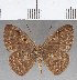  ( - CFC25341)  @11 [ ] Copyright (2019) Christer Fahraeus Center For Collection-Based Research