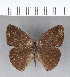  ( - CFC02551)  @11 [ ] Copyright (2018) Christer Fahraeus Center For Collection-Based Research