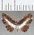  ( - CFC25523)  @11 [ ] Copyright (2019) Christer Fahraeus Center For Collection-Based Research
