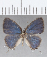  ( - CFC25527)  @11 [ ] Copyright (2020) Christer Fahraeus Center For Collection-Based Research