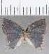  ( - CFC25528)  @11 [ ] Copyright (2020) Christer Fahraeus Center For Collection-Based Research