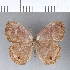  ( - CFC02553)  @13 [ ] Copyright (2018) Christer Fahraeus Center For Collection-Based Research