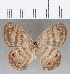  ( - CFC25536)  @11 [ ] Copyright (2019) Christer Fahraeus Center For Collection-Based Research