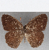  ( - CFC25549)  @11 [ ] Copyright (2019) Christer Fahraeus Center For Collection-Based Research