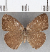  ( - CFC25554)  @11 [ ] Copyright (2019) Christer Fahraeus Center For Collection-Based Research