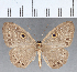  ( - CFC25561)  @11 [ ] Copyright (2019) Christer Fahraeus Center For Collection-Based Research