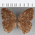  ( - CFC25580)  @11 [ ] Copyright (2019) Christer Fahraeus Center For Collection-Based Research