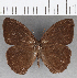  ( - CFC25581)  @11 [ ] Copyright (2019) Christer Fahraeus Center For Collection-Based Research