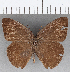  ( - CFC25582)  @11 [ ] Copyright (2019) Christer Fahraeus Center For Collection-Based Research