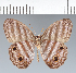  ( - CFC25585)  @11 [ ] copyright (2022) Center For Collection-Based Research Center For Collection-Based Research