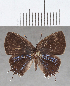  ( - CFC25604)  @11 [ ] copyright (2020) Christer Fahraeus Center For Collection-Based Research