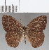  ( - CFC25630)  @11 [ ] Copyright (2019) Christer Fahraeus Center For Collection-Based Research