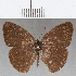  ( - CFC25631)  @11 [ ] Copyright (2019) Christer Fahraeus Center For Collection-Based Research