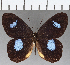  ( - CFC25673)  @11 [ ] Copyright (2019) Christer Fahraeus Center For Collection-Based Research