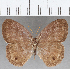  ( - CFC25720)  @13 [ ] Copyright (2019) Christer Fahraeus Center For Collection-Based Research