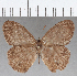  ( - CFC25722)  @11 [ ] Copyright (2019) Christer Fahraeus Center For Collection-Based Research