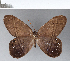  ( - CFC02577)  @11 [ ] Copyright (2018) Christer Fahraeus Center For Collection-Based Research