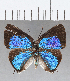  ( - CFC25817)  @11 [ ] Copyright (2020) Christer Fahraeus Center For Collection-Based Research