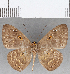  ( - CFC25828)  @11 [ ] Copyright (2019) Christer Fahraeus Center For Collection-Based Research
