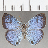  ( - CFC25848)  @11 [ ] Copyright (2019) Christer Fahraeus Center For Collection-Based Research