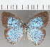  ( - CFC25854)  @11 [ ] Copyright (2019) Christer Fahraeus Center For Collection-Based Research
