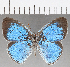  ( - CFC25857)  @13 [ ] Copyright (2019) Christer Fahraeus Center For Collection-Based Research